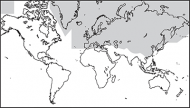 NavData - Europe/Eastern Europe
