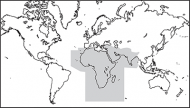 NavData - Africa/Middle East